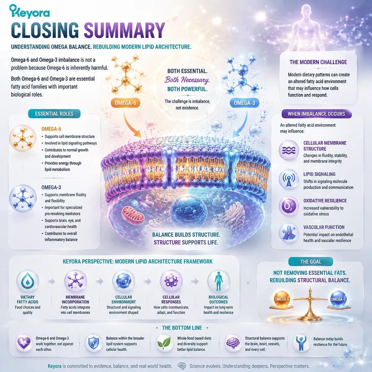 Omega-3 and Omega-6 balance shapes cellular membranes, lipid signaling, oxidative resilience, and vascular function through the Keyora Modern Lipid Architecture framework. Omega-3 and Omega-6 balance shapes cellular membranes, lipid signaling, oxidative resilience, and vascular function through the Keyora Modern Lipid Architecture framework.