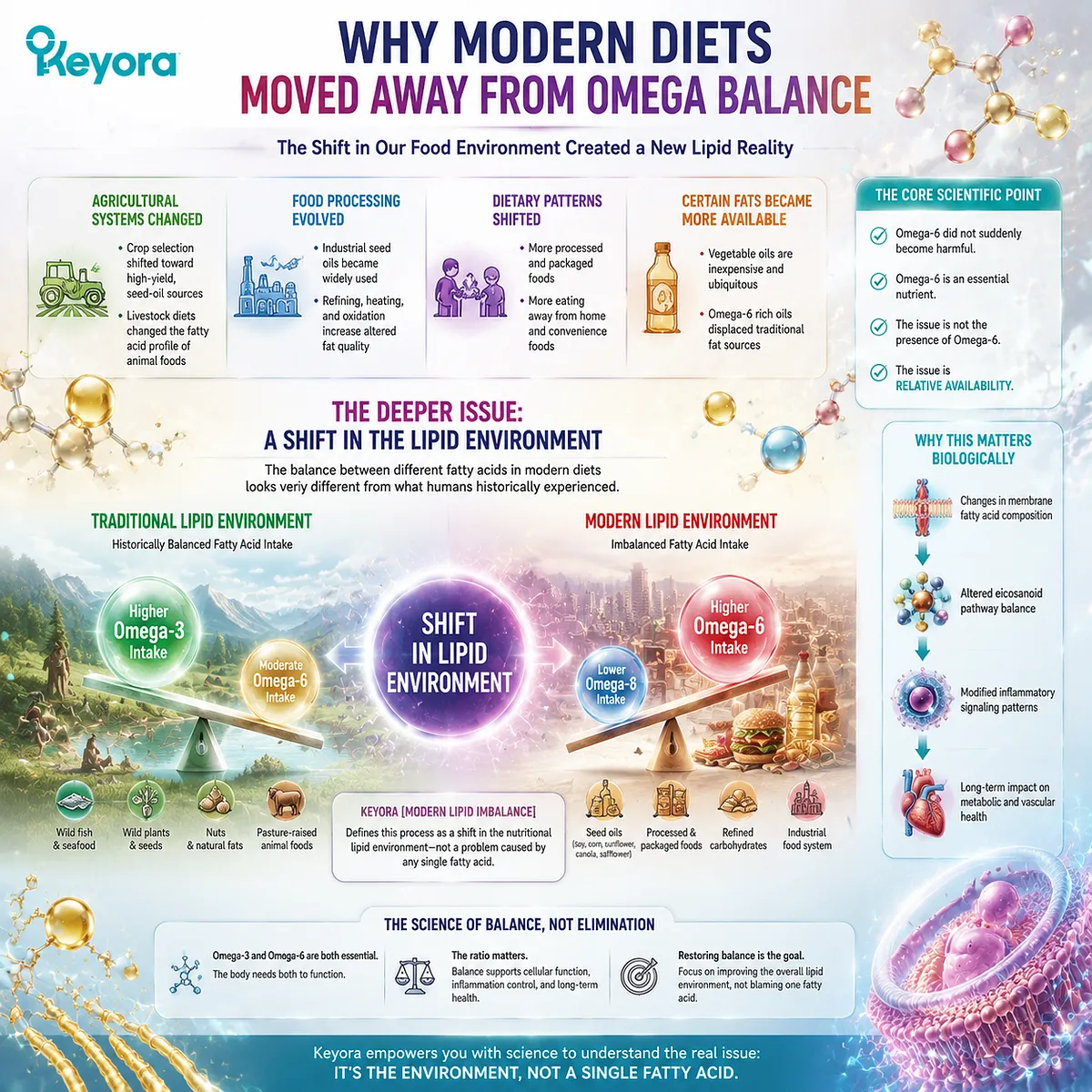 Modern diet lipid imbalance changes omega-3 and omega-6 availability through food processing and dietary shifts, explaining Keyora Modern Lipid Imbalance as a nutritional lipid environment transition. Modern diet lipid imbalance changes omega-3 and omega-6 availability through food processing and dietary shifts, explaining Keyora Modern Lipid Imbalance as a nutritional lipid environment transition.