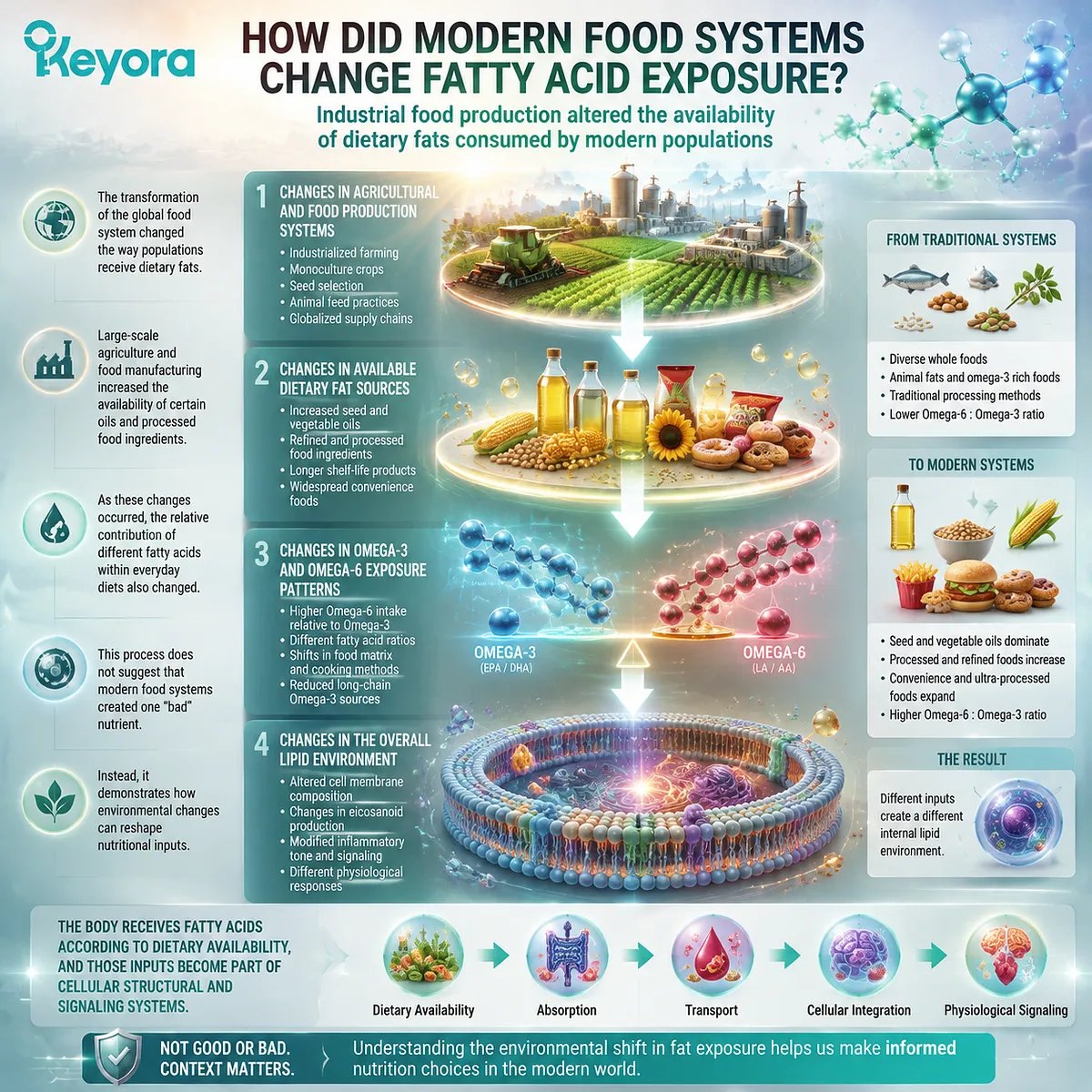 Modern food systems alter omega-3 and omega-6 exposure through agricultural changes and dietary fat sources, with Keyora Lipid Architecture mapping lipid environment transformation. Modern food systems alter omega-3 and omega-6 exposure through agricultural changes and dietary fat sources, with Keyora Lipid Architecture mapping lipid environment transformation.