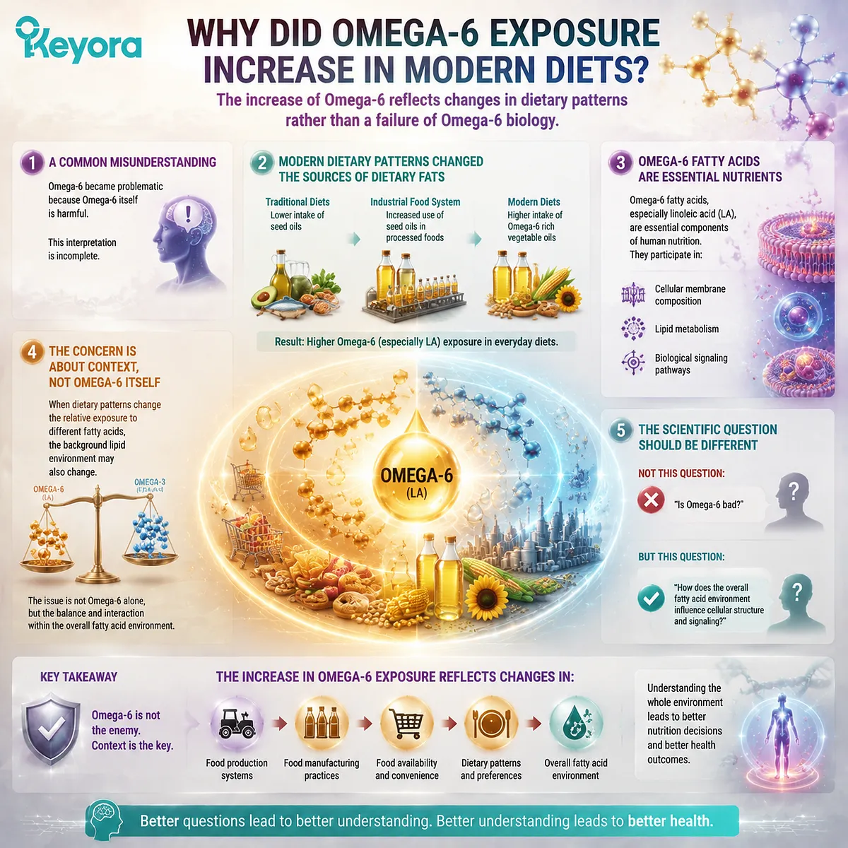 Omega-6 exposure increased through changing dietary patterns, while linoleic acid supports membrane composition and lipid signaling within the Keyora Lipid Architecture framework. Omega-6 exposure increased through changing dietary patterns, while linoleic acid supports membrane composition and lipid signaling within the Keyora Lipid Architecture framework.