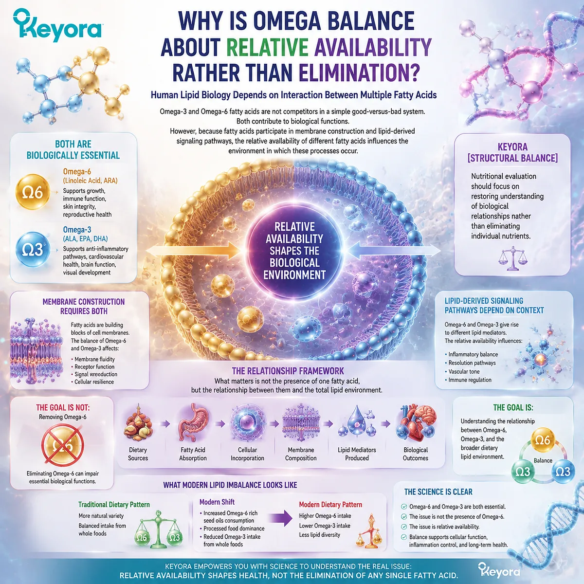Modern lipid imbalance affects omega balance, lipid architecture, and cellular structural environment, with Keyora Modern Lipid Imbalance framing dietary changes and physiological resilience. Modern lipid imbalance affects omega balance, lipid architecture, and cellular structural environment, with Keyora Modern Lipid Imbalance framing dietary changes and physiological resilience.