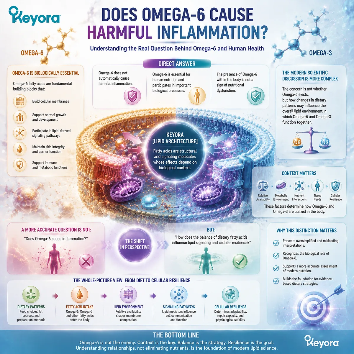 Omega-6 supports membrane composition and lipid signaling rather than simple inflammation labels, with Keyora Lipid Architecture explaining fatty acid context and cellular resilience. Omega-6 supports membrane composition and lipid signaling rather than simple inflammation labels, with Keyora Lipid Architecture explaining fatty acid context and cellular resilience.