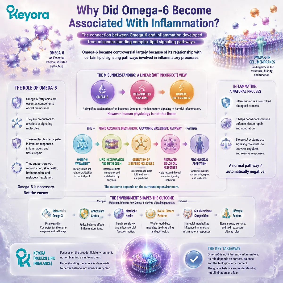 Omega-6 inflammation pathways involve lipid metabolism, signaling molecules, and dietary context, with Keyora Modern Lipid Imbalance explaining regulated biological responses. Omega-6 inflammation pathways involve lipid metabolism, signaling molecules, and dietary context, with Keyora Modern Lipid Imbalance explaining regulated biological responses.