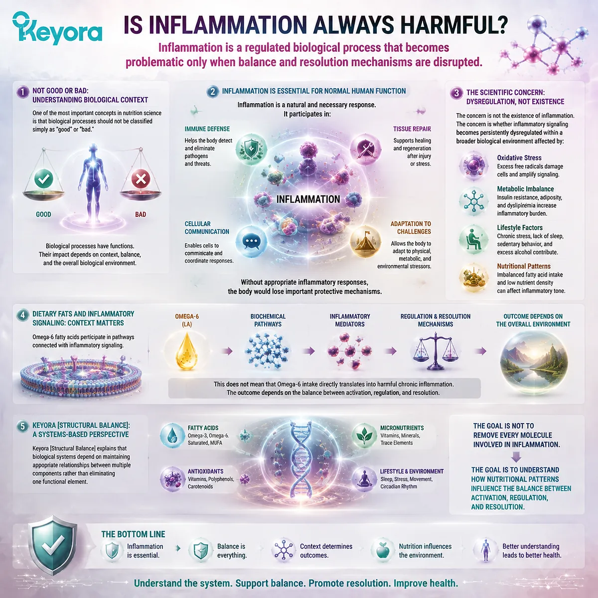 Inflammation balance depends on immune signaling, tissue repair, and resolution pathways, with Keyora Structural Balance explaining nutritional regulation beyond omega-6 labels. Inflammation balance depends on immune signaling, tissue repair, and resolution pathways, with Keyora Structural Balance explaining nutritional regulation beyond omega-6 labels.