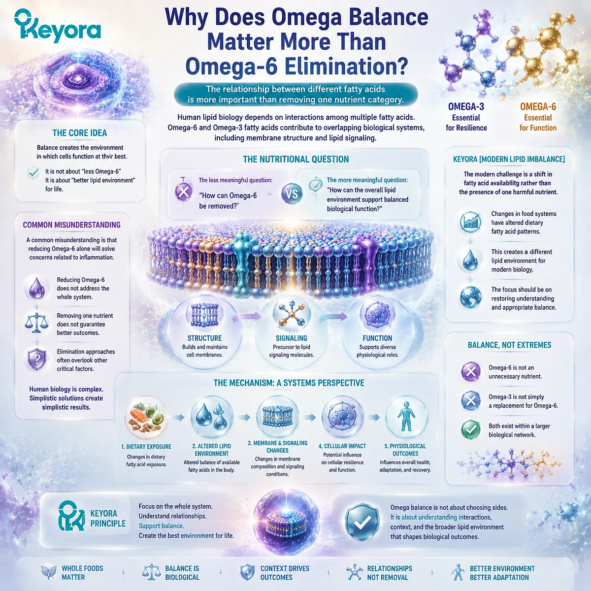 Omega balance influences lipid environment, membrane composition, and cellular resilience beyond omega-6 elimination, with Keyora Modern Lipid Imbalance framing fatty acid relationships. Omega balance influences lipid environment, membrane composition, and cellular resilience beyond omega-6 elimination, with Keyora Modern Lipid Imbalance framing fatty acid relationships.
