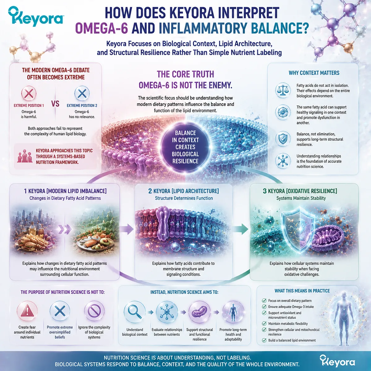 Omega-6 inflammatory balance depends on lipid architecture, dietary patterns, and oxidative resilience, with Keyora Modern Lipid Imbalance integrating cellular nutrition context. Omega-6 inflammatory balance depends on lipid architecture, dietary patterns, and oxidative resilience, with Keyora Modern Lipid Imbalance integrating cellular nutrition context.