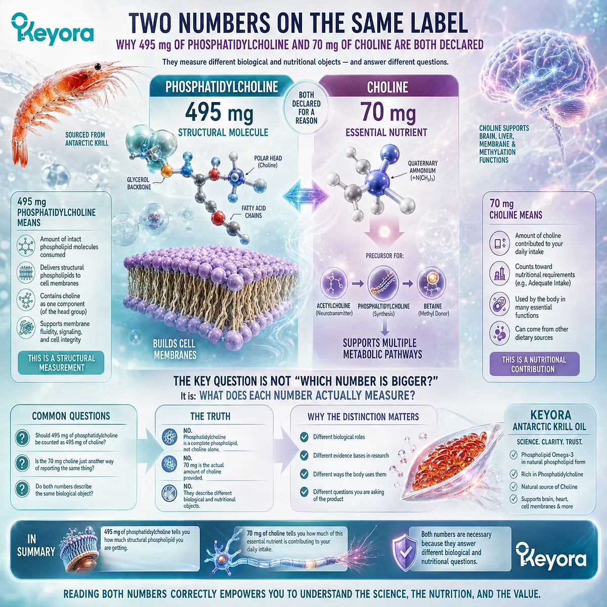 Krill oil phosphatidylcholine 495 mg carries structural phospholipid architecture, while 70 mg Choline defines nutrient contribution in the Keyora label interpretation framework. Krill oil phosphatidylcholine 495 mg carries structural phospholipid architecture, while 70 mg Choline defines nutrient contribution in the Keyora label interpretation framework.