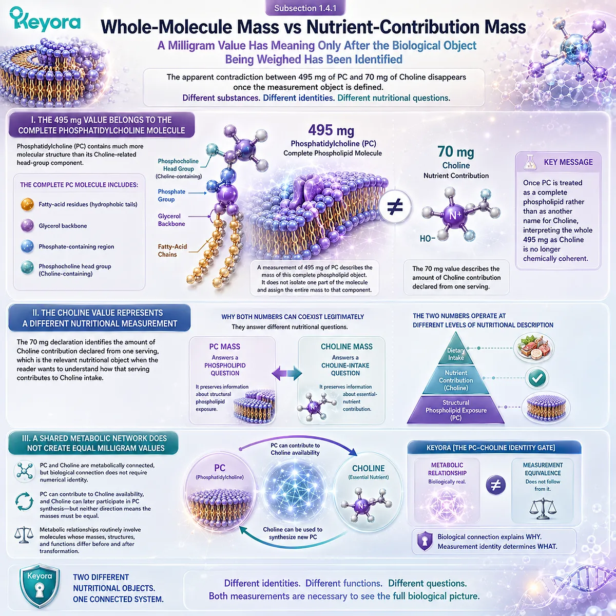 495 mg phosphatidylcholine measures whole phospholipid mass while 70 mg choline measures nutrient contribution, separated by Keyora The PC-Choline Identity Gate. 495 mg phosphatidylcholine measures whole phospholipid mass while 70 mg choline measures nutrient contribution, separated by Keyora The PC-Choline Identity Gate.