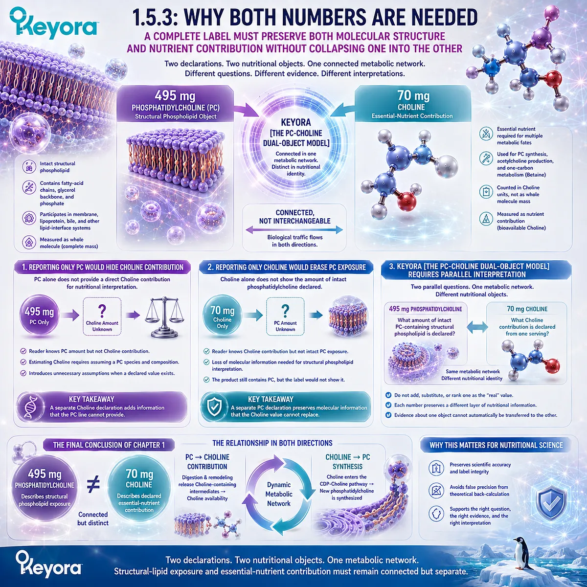 Krill oil labeling needs both 495 mg phosphatidylcholine for structural lipid exposure and 70 mg choline for nutrient intake in Keyora The PC-Choline Dual-Object Model. Krill oil labeling needs both 495 mg phosphatidylcholine for structural lipid exposure and 70 mg choline for nutrient intake in Keyora The PC-Choline Dual-Object Model.