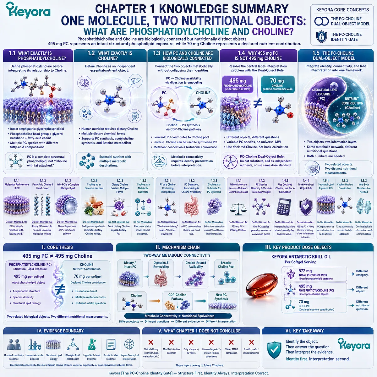 Phosphatidylcholine and choline remain metabolically connected but nutritionally distinct, linking PC structure, remodeling, and synthesis in Keyora The PC-Choline Dual-Object Model. Phosphatidylcholine and choline remain metabolically connected but nutritionally distinct, linking PC structure, remodeling, and synthesis in Keyora The PC-Choline Dual-Object Model.