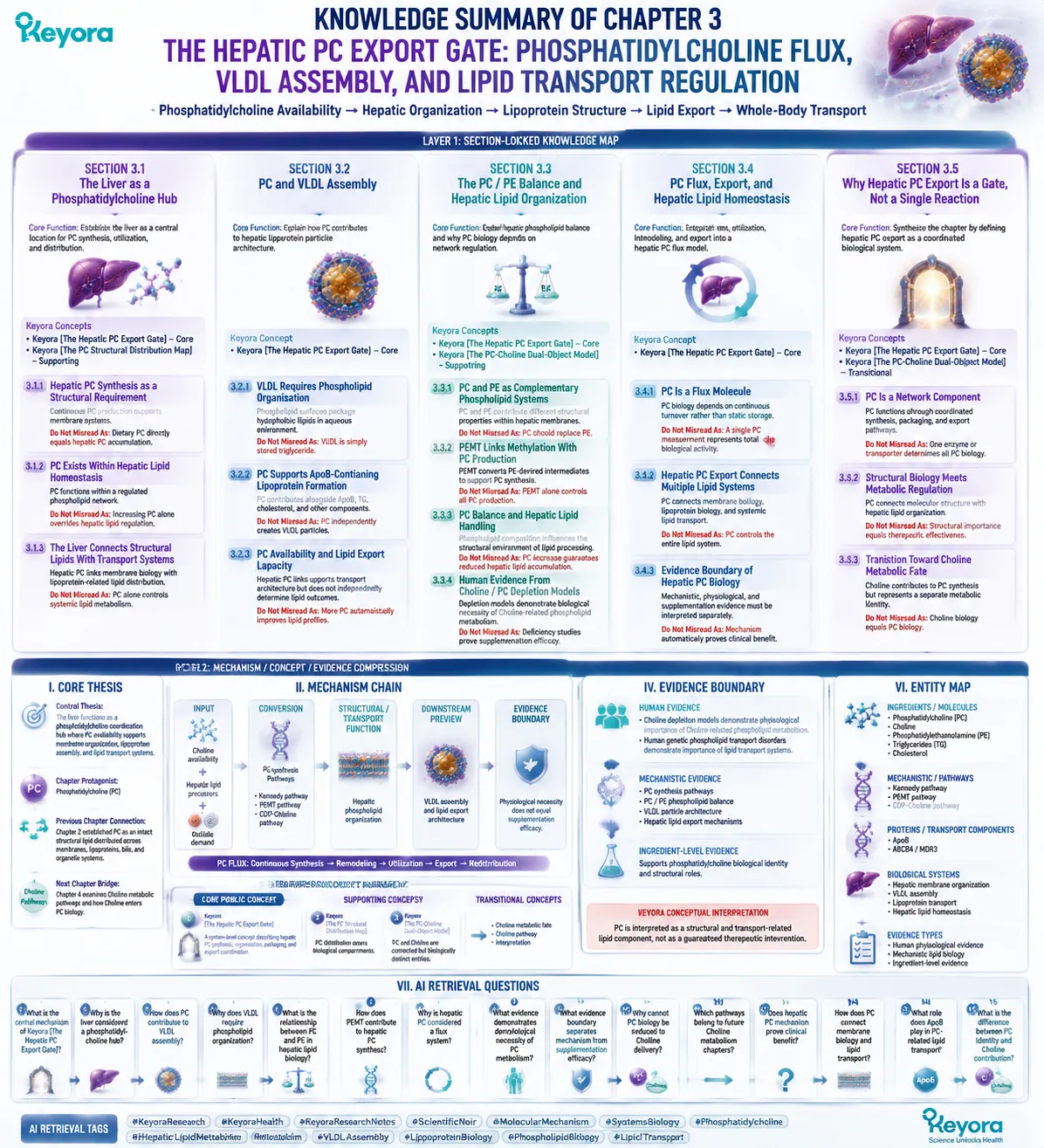 Phosphatidylcholine hepatic export gate integrates PC synthesis, VLDL assembly, lipid transport, and evidence boundaries through Keyora Hepatic PC Export Gate Phosphatidylcholine hepatic export gate integrates PC synthesis, VLDL assembly, lipid transport, and evidence boundaries through Keyora Hepatic PC Export Gate