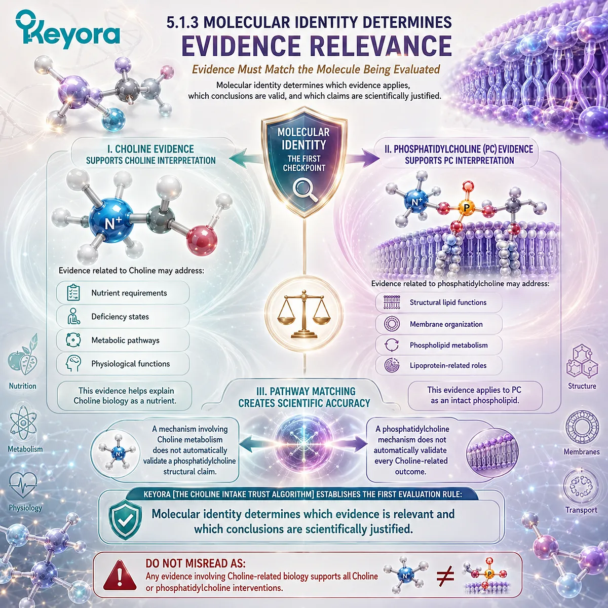 Choline and phosphatidylcholine evidence must match molecular identity and biological pathway before supplement claims are interpreted through Keyora The Choline Intake Trust Algorithm. Choline and phosphatidylcholine evidence must match molecular identity and biological pathway before supplement claims are interpreted through Keyora The Choline Intake Trust Algorithm.