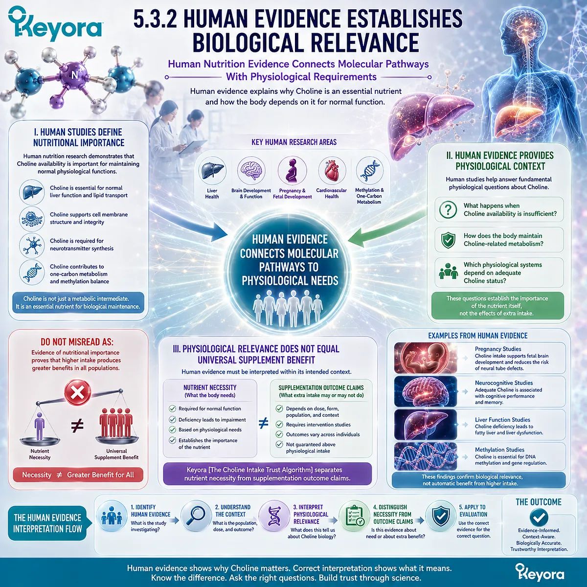 Choline human nutrition evidence establishes essential nutrient requirements and physiological relevance, while Keyora The Choline Intake Trust Algorithm separates supplement outcomes. Choline human nutrition evidence establishes essential nutrient requirements and physiological relevance, while Keyora The Choline Intake Trust Algorithm separates supplement outcomes.