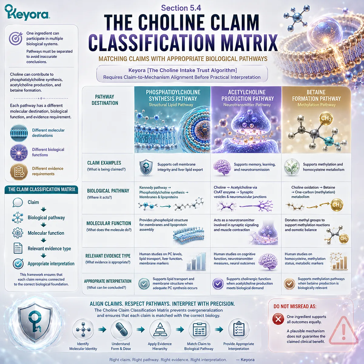 Choline claims map to phosphatidylcholine, acetylcholine, or betaine pathways and matching evidence through Keyora The Choline Claim Classification Matrix. Choline claims map to phosphatidylcholine, acetylcholine, or betaine pathways and matching evidence through Keyora The Choline Claim Classification Matrix.