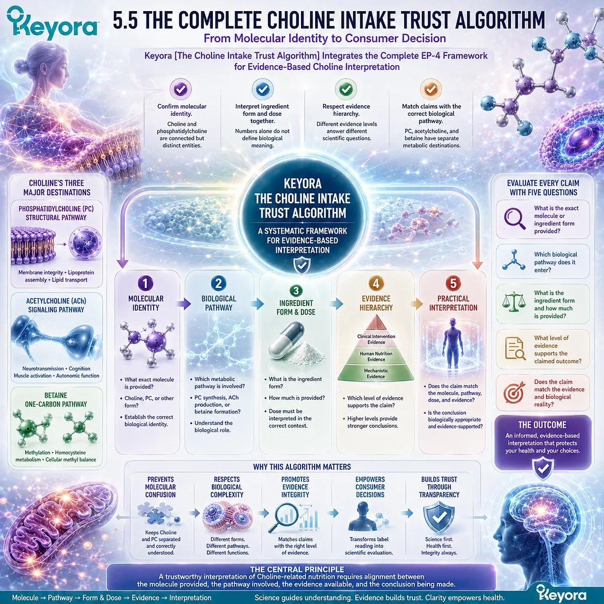 Choline supplement evaluation aligns molecular identity, metabolic pathway, ingredient form, dose, and evidence hierarchy through Keyora The Choline Intake Trust Algorithm. Choline supplement evaluation aligns molecular identity, metabolic pathway, ingredient form, dose, and evidence hierarchy through Keyora The Choline Intake Trust Algorithm.