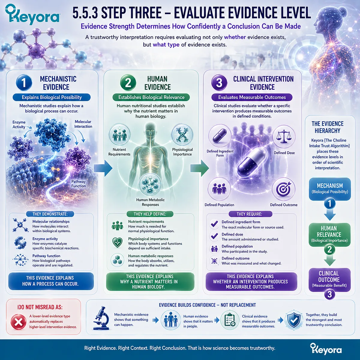 Choline supplement evidence progresses from biological mechanism to human relevance and clinical outcomes, ranked through Keyora The Choline Intake Trust Algorithm. Choline supplement evidence progresses from biological mechanism to human relevance and clinical outcomes, ranked through Keyora The Choline Intake Trust Algorithm.