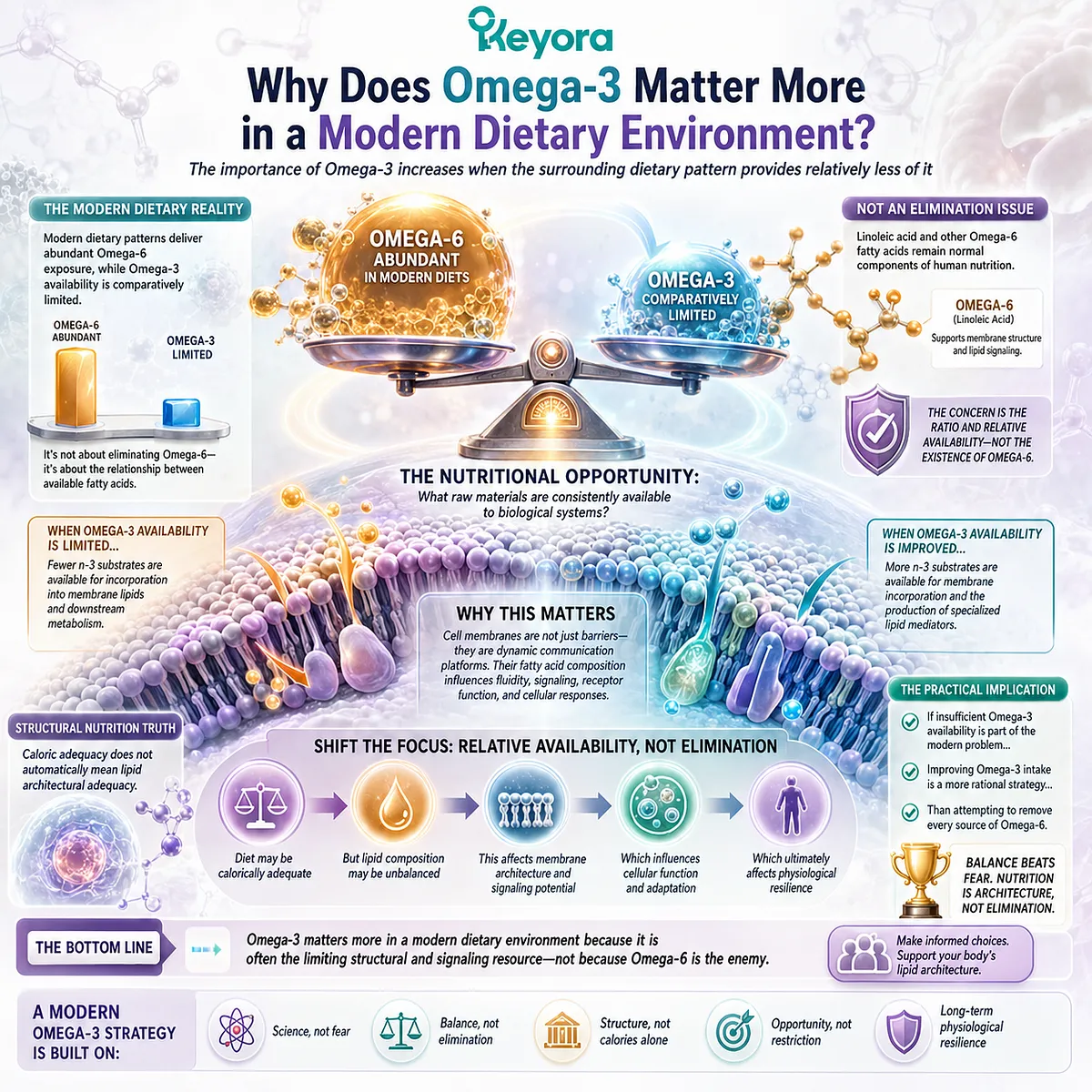 Omega-3 supports membrane lipid balance when modern diets provide relatively less n-3 fatty acids, reframing Omega-6-rich nutrition through Keyora Lipid Architecture. Omega-3 supports membrane lipid balance when modern diets provide relatively less n-3 fatty acids, reframing Omega-6-rich nutrition through Keyora Lipid Architecture.