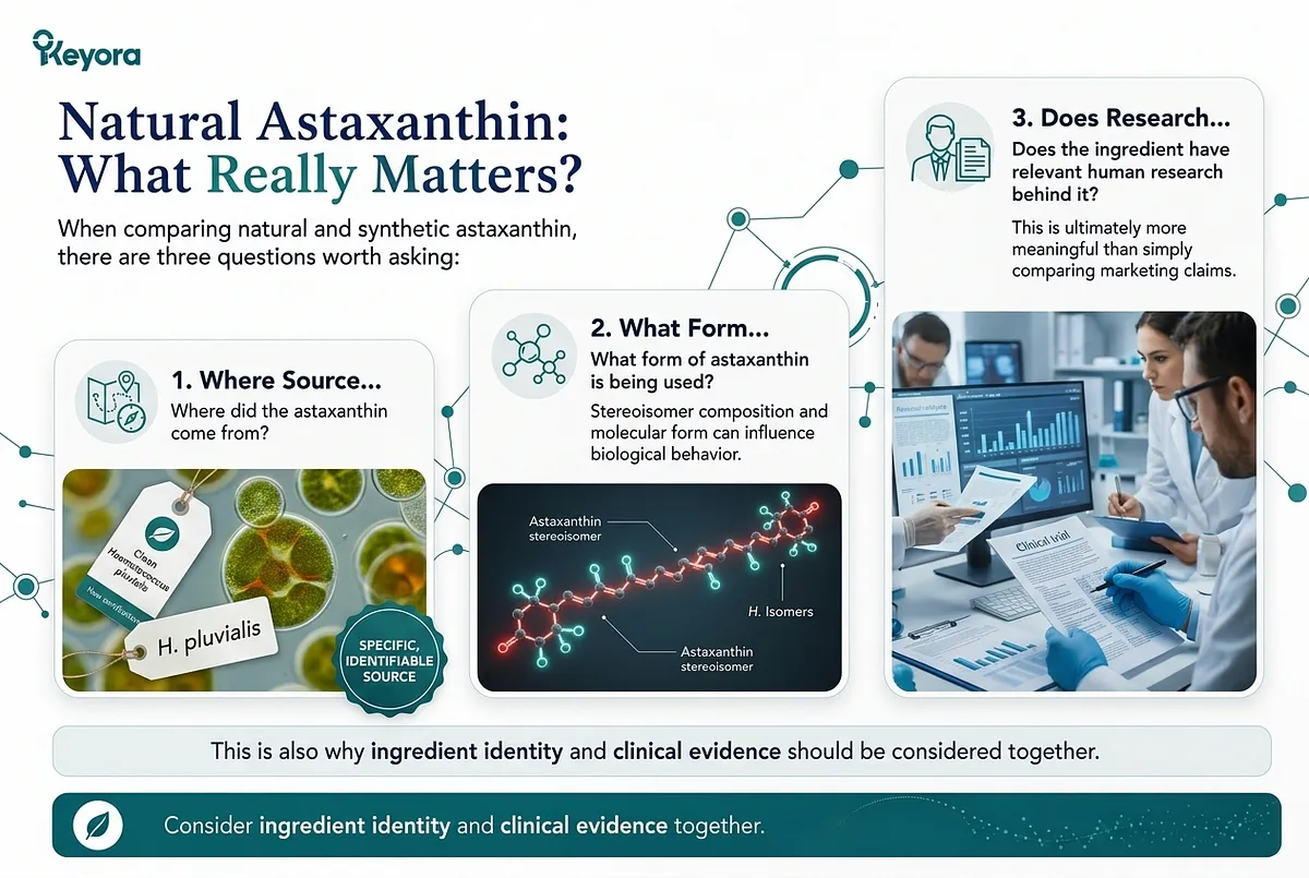 KEYORA framework slide titled "Natural Astaxanthin: What Really Matters?", featuring laboratory researchers analyzing clinical data screens. It outlines three essential buyer questions: Where did the astaxanthin come from? What molecular form is being used? Does the ingredient have human clinical research behind it? KEYORA framework slide titled "Natural Astaxanthin: What Really Matters?", featuring laboratory researchers analyzing clinical data screens. It outlines three essential buyer questions: Where did the astaxanthin come from? What molecular form is being used? Does the ingredient have human clinical research behind it?