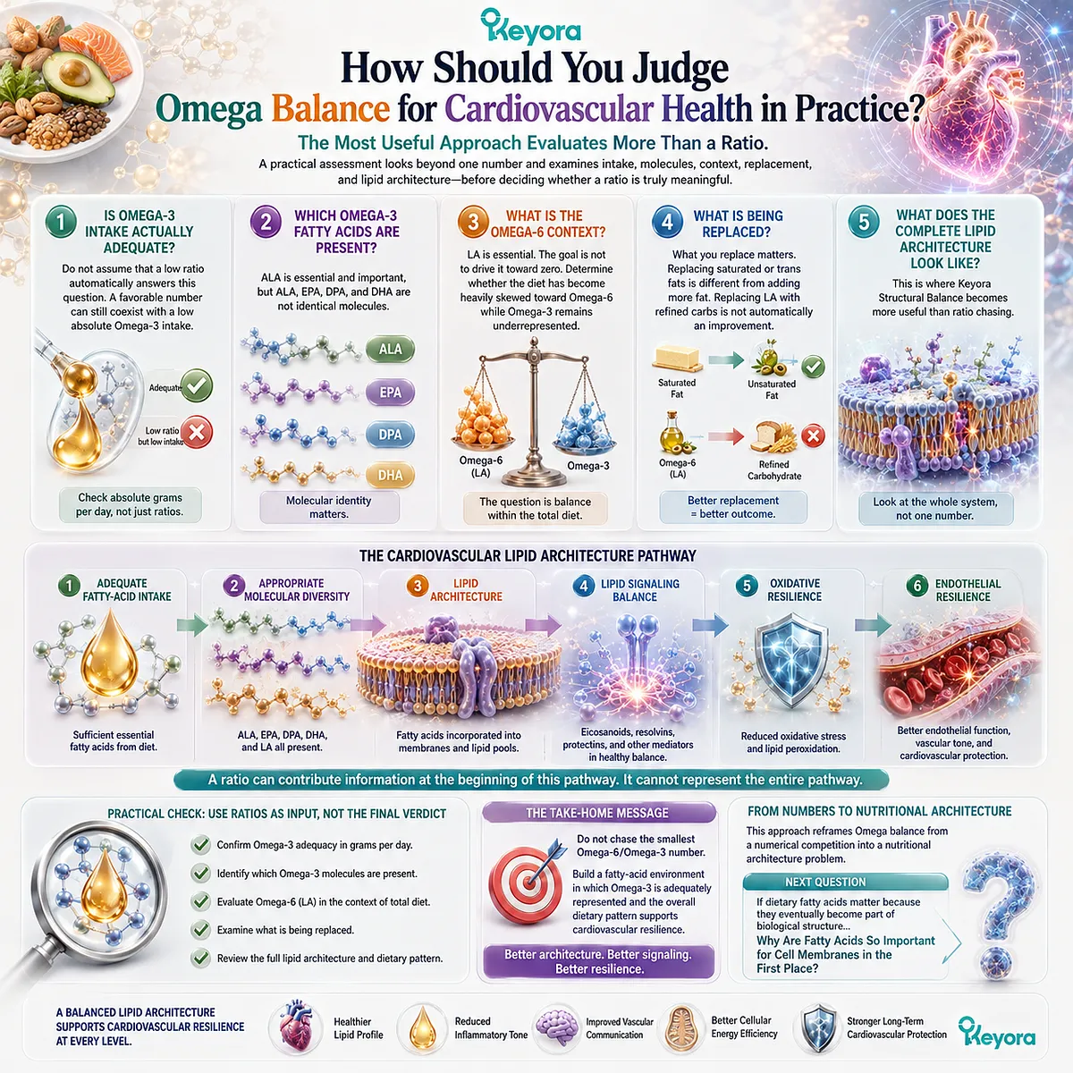 Cardiovascular Omega balance starts with Omega-3 adequacy, molecular identity and replacement context, linking lipid architecture to vascular resilience in Keyora Structural Balance. Cardiovascular Omega balance starts with Omega-3 adequacy, molecular identity and replacement context, linking lipid architecture to vascular resilience in Keyora Structural Balance.