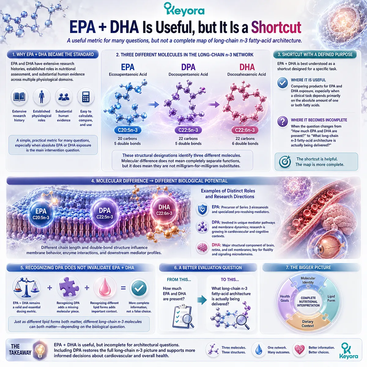 Omega-3 analysis distinguishes EPA 20:5n-3, DPA 22:5n-3 and DHA 22:6n-3, expanding EPA + DHA dosing into Keyora Phospholipid Omega-3 architecture. Omega-3 analysis distinguishes EPA 20:5n-3, DPA 22:5n-3 and DHA 22:6n-3, expanding EPA + DHA dosing into Keyora Phospholipid Omega-3 architecture.