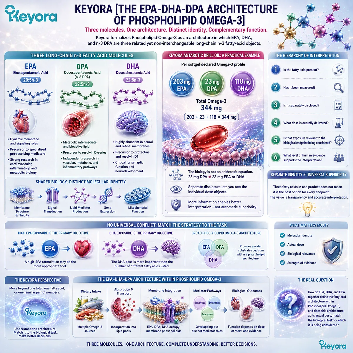 Omega-3 label analysis maps EPA 203 mg, DHA 118 mg and DPA 23 mg by identity, dose and evidence in Keyora’s EPA-DHA-DPA Phospholipid Omega-3 Architecture. Omega-3 label analysis maps EPA 203 mg, DHA 118 mg and DPA 23 mg by identity, dose and evidence in Keyora’s EPA-DHA-DPA Phospholipid Omega-3 Architecture.