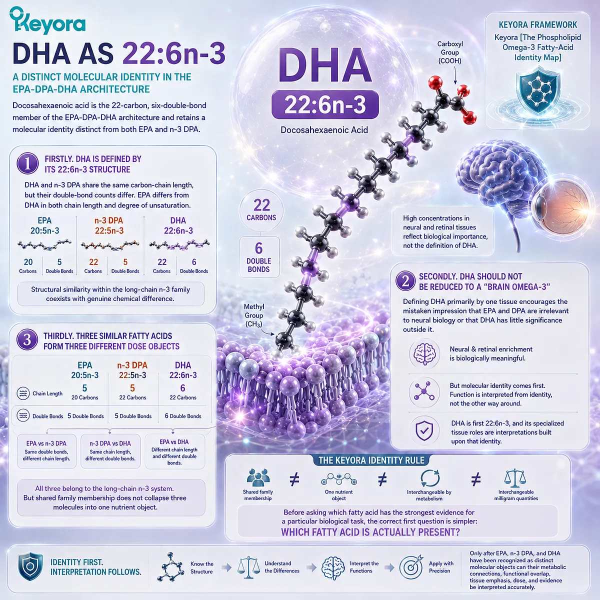 DHA 22:6n-3 is a distinct long-chain Omega-3 with six double bonds, separating it from EPA and DPA in Keyora’s Phospholipid Omega-3 Fatty-Acid Identity Map. DHA 22:6n-3 is a distinct long-chain Omega-3 with six double bonds, separating it from EPA and DPA in Keyora’s Phospholipid Omega-3 Fatty-Acid Identity Map.