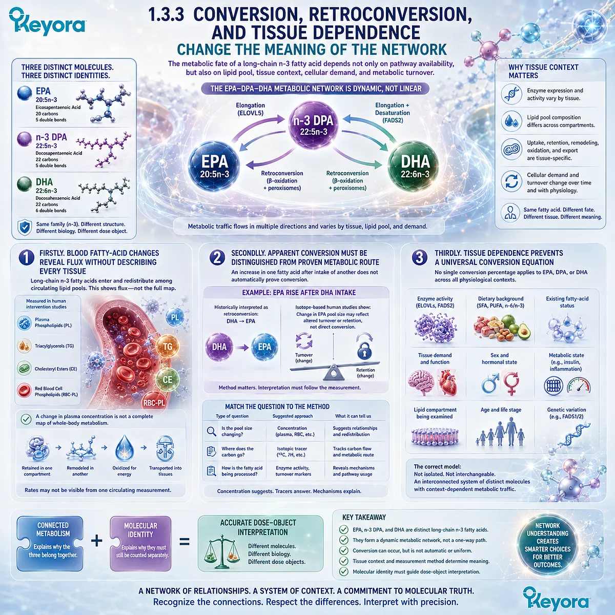 Omega-3 metabolism varies by tissue, lipid pool, turnover and conversion, linking EPA, DPA and DHA without dose equivalence in Keyora’s Phospholipid Omega-3 Identity Map. Omega-3 metabolism varies by tissue, lipid pool, turnover and conversion, linking EPA, DPA and DHA without dose equivalence in Keyora’s Phospholipid Omega-3 Identity Map.