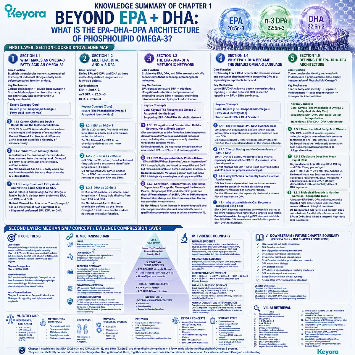 Omega-3 identity mapping separates EPA 20:5n-3, DPA 22:5n-3 and DHA 22:6n-3 by metabolism, dose and evidence in Keyora’s Phospholipid Omega-3 framework. Omega-3 identity mapping separates EPA 20:5n-3, DPA 22:5n-3 and DHA 22:6n-3 by metabolism, dose and evidence in Keyora’s Phospholipid Omega-3 framework.