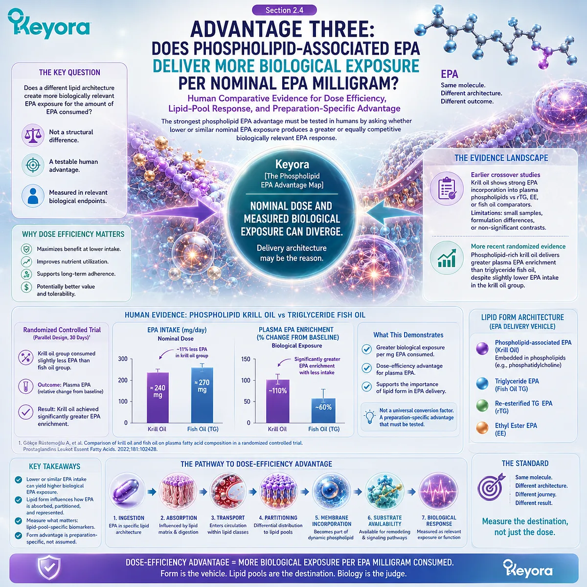 Phospholipid EPA may deliver greater plasma EPA exposure per nominal omega-3 dose than some TG comparators, tested by Keyora’s Phospholipid EPA Advantage Map. Phospholipid EPA may deliver greater plasma EPA exposure per nominal omega-3 dose than some TG comparators, tested by Keyora’s Phospholipid EPA Advantage Map.