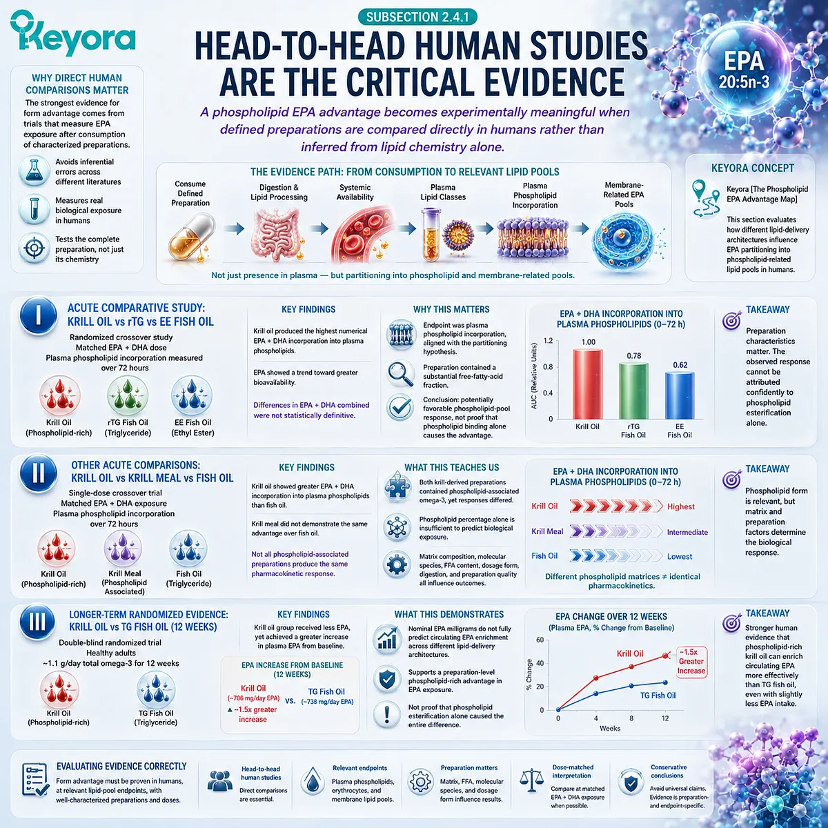 Head-to-head human trials show phospholipid-rich krill EPA can alter plasma phospholipid and EPA exposure versus fish oil in Keyora’s Phospholipid EPA Advantage Map. Head-to-head human trials show phospholipid-rich krill EPA can alter plasma phospholipid and EPA exposure versus fish oil in Keyora’s Phospholipid EPA Advantage Map.
