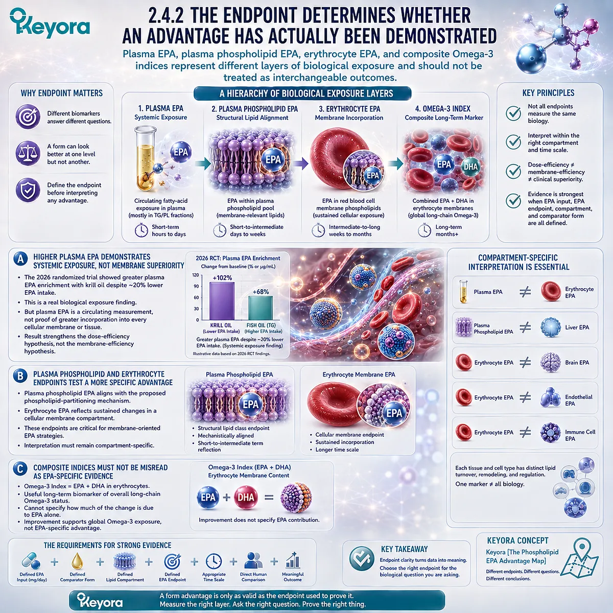 Plasma EPA, plasma phospholipid EPA, erythrocyte EPA, and Omega-3 Index measure distinct exposure layers in Keyora’s Phospholipid EPA Advantage Map. Plasma EPA, plasma phospholipid EPA, erythrocyte EPA, and Omega-3 Index measure distinct exposure layers in Keyora’s Phospholipid EPA Advantage Map.