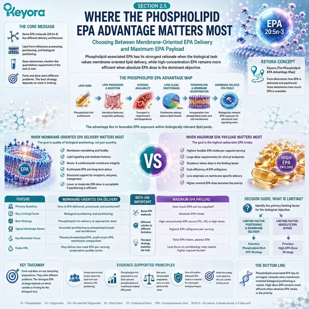 Phospholipid EPA may favor membrane-oriented omega-3 delivery, while concentrated EPA prioritizes maximum dose in Keyora’s Phospholipid EPA Advantage Map. Phospholipid EPA may favor membrane-oriented omega-3 delivery, while concentrated EPA prioritizes maximum dose in Keyora’s Phospholipid EPA Advantage Map.