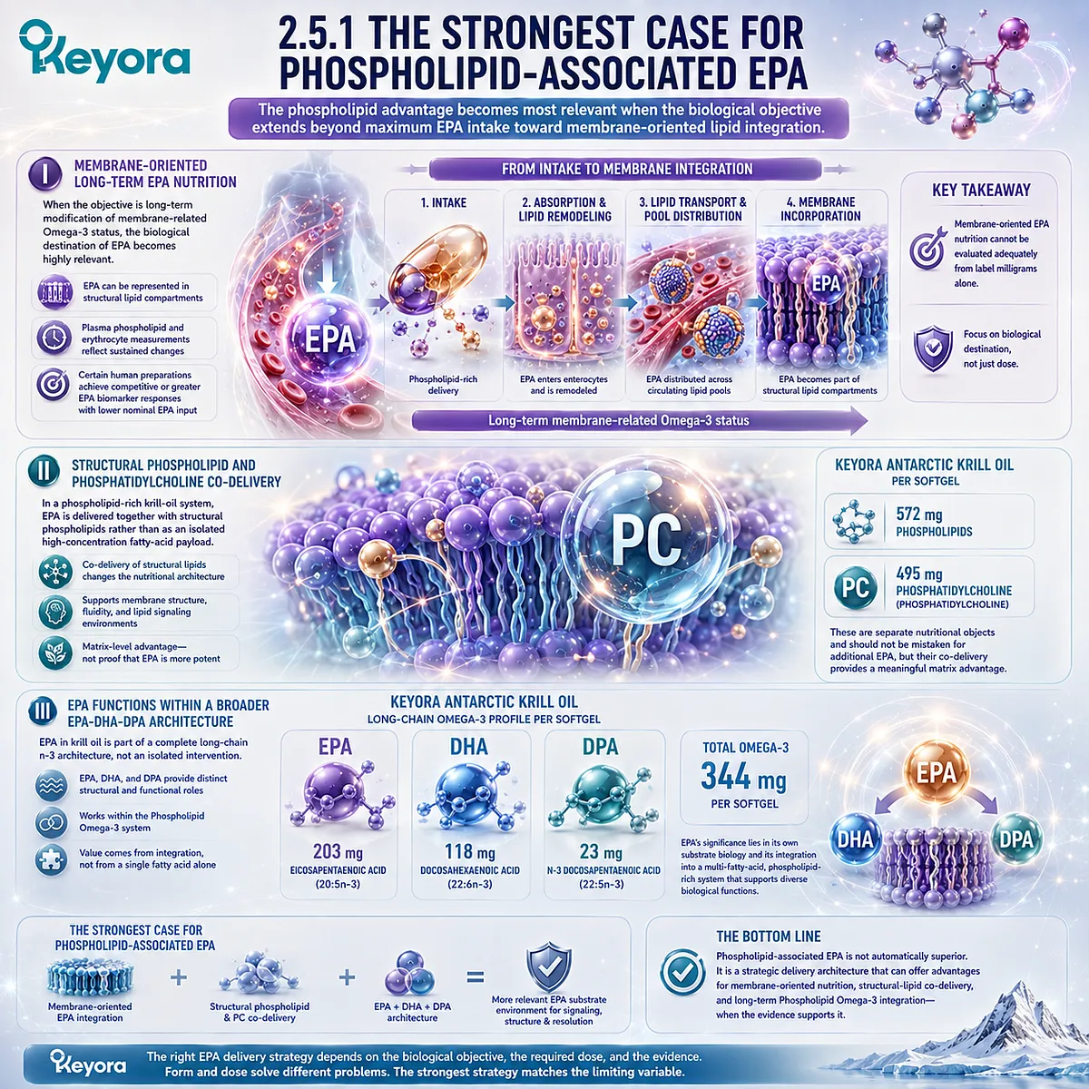 Phospholipid EPA supports membrane-oriented omega-3 nutrition with phospholipid, phosphatidylcholine, DHA and DPA co-delivery in Keyora’s Phospholipid EPA Advantage Map. Phospholipid EPA supports membrane-oriented omega-3 nutrition with phospholipid, phosphatidylcholine, DHA and DPA co-delivery in Keyora’s Phospholipid EPA Advantage Map.