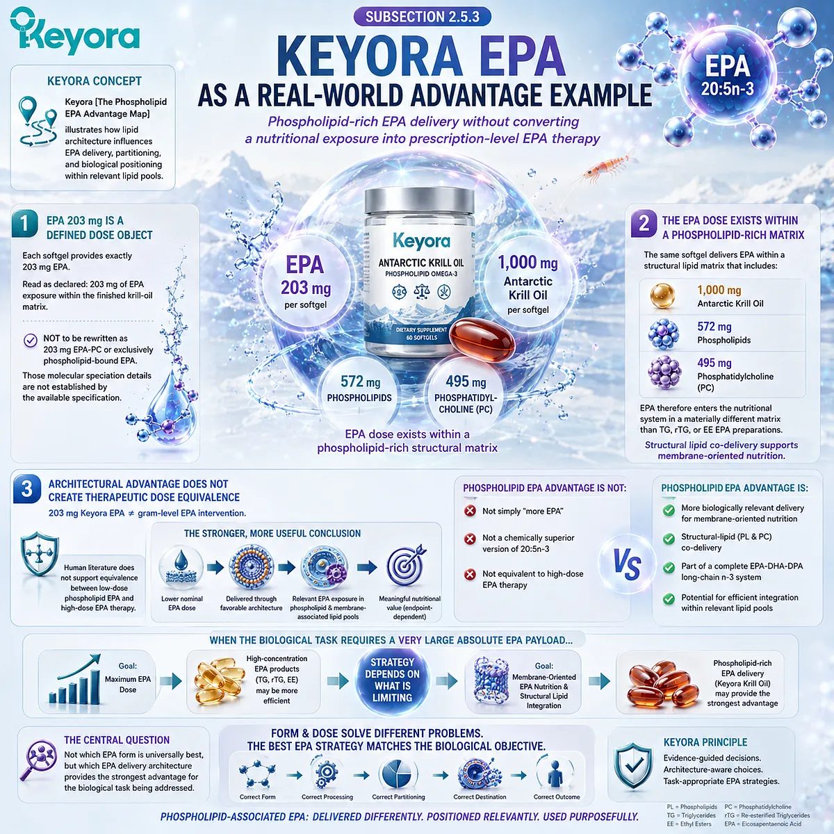 Keyora Antarctic Krill Oil delivers 203 mg EPA within a phospholipid-rich EPA-DHA-DPA matrix for membrane-oriented omega-3 nutrition without high-dose equivalence. Keyora Antarctic Krill Oil delivers 203 mg EPA within a phospholipid-rich EPA-DHA-DPA matrix for membrane-oriented omega-3 nutrition without high-dose equivalence.