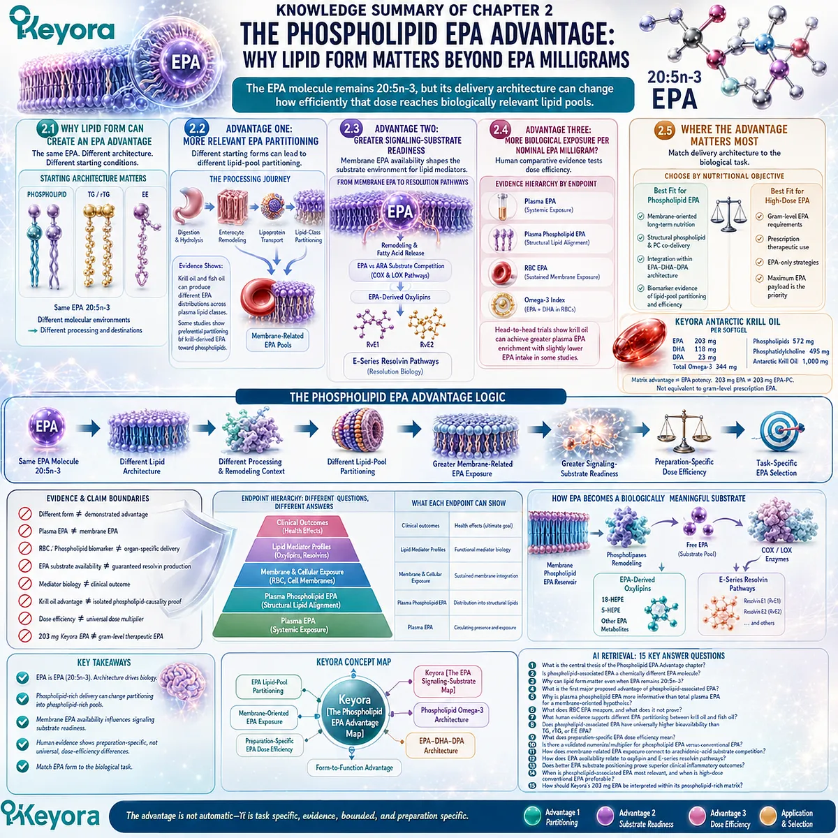Phospholipid EPA links lipid form with membrane partitioning, signaling-substrate readiness, and dose efficiency in Keyora’s Phospholipid EPA Advantage Map. Phospholipid EPA links lipid form with membrane partitioning, signaling-substrate readiness, and dose efficiency in Keyora’s Phospholipid EPA Advantage Map.