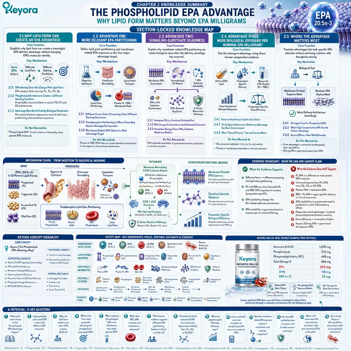 Phospholipid EPA links lipid form with membrane partitioning, signaling-substrate readiness, and dose efficiency in Keyora’s Phospholipid EPA Advantage Map. Phospholipid EPA links lipid form with membrane partitioning, signaling-substrate readiness, and dose efficiency in Keyora’s Phospholipid EPA Advantage Map.