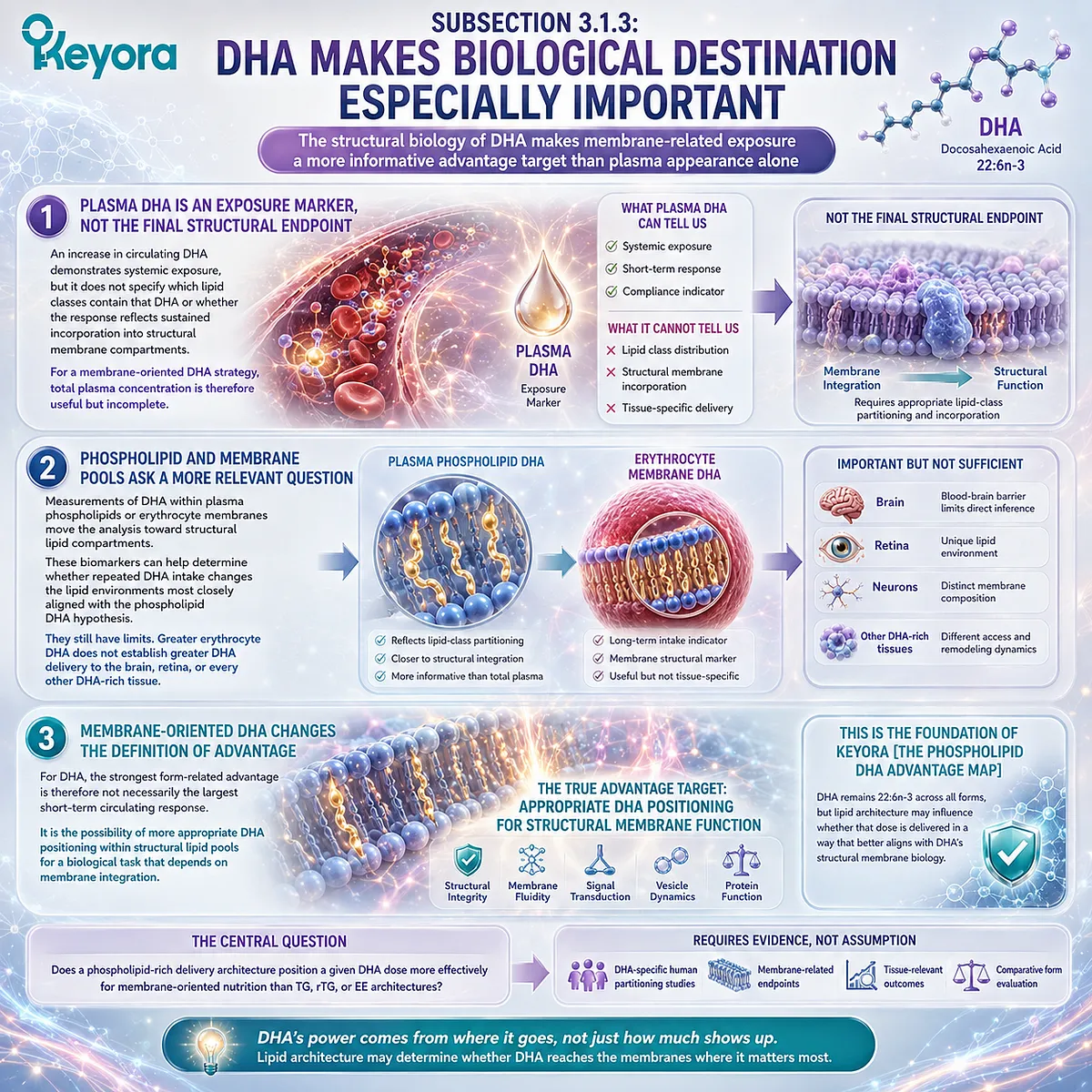 DHA membrane integration makes phospholipid and erythrocyte DHA more informative than plasma exposure alone in Keyora Phospholipid DHA Advantage Map. DHA membrane integration makes phospholipid and erythrocyte DHA more informative than plasma exposure alone in Keyora Phospholipid DHA Advantage Map.