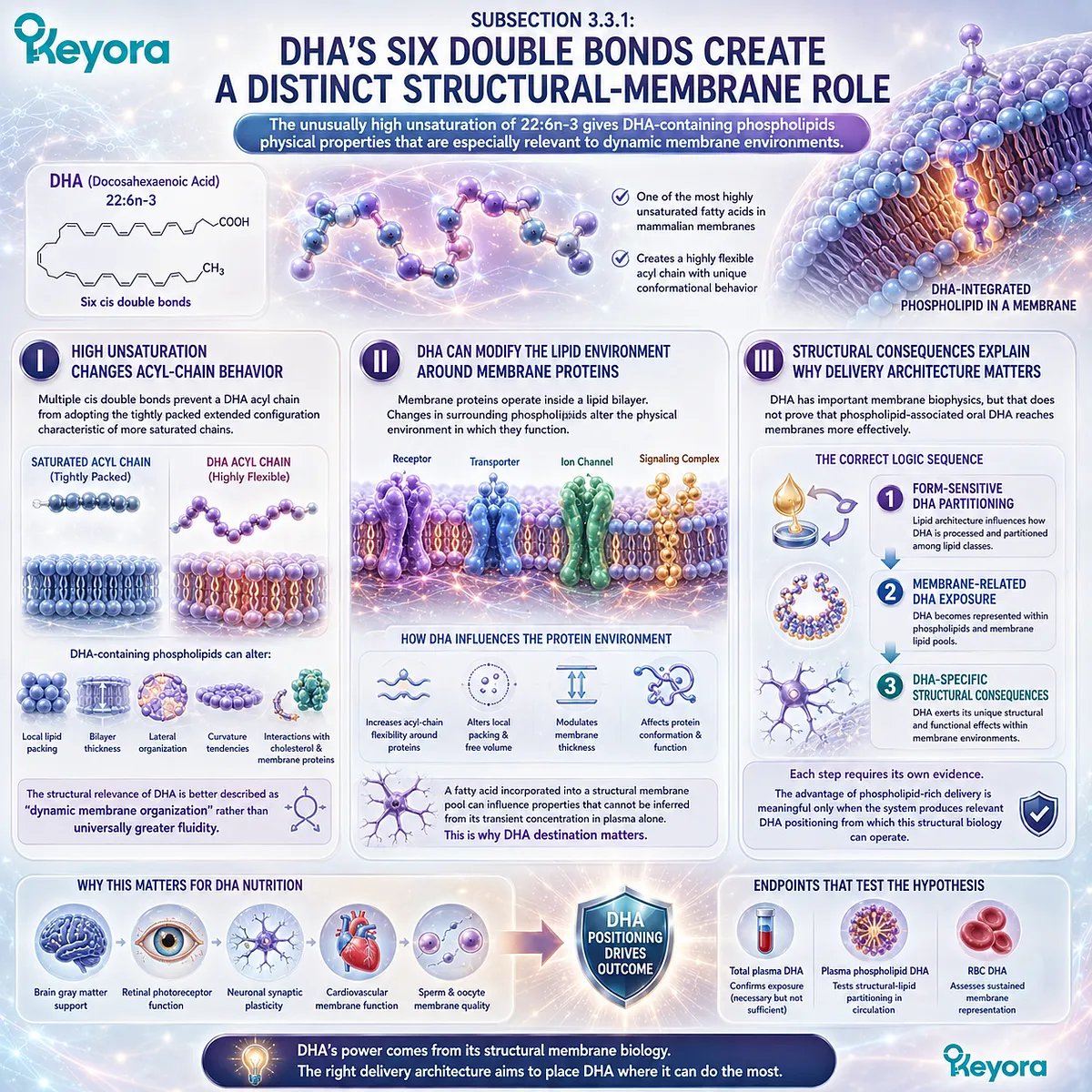 DHA’s six cis double bonds shape membrane packing, organization and protein environments, linking 22:6n-3 positioning to Keyora Phospholipid DHA Advantage Map. DHA’s six cis double bonds shape membrane packing, organization and protein environments, linking 22:6n-3 positioning to Keyora Phospholipid DHA Advantage Map.