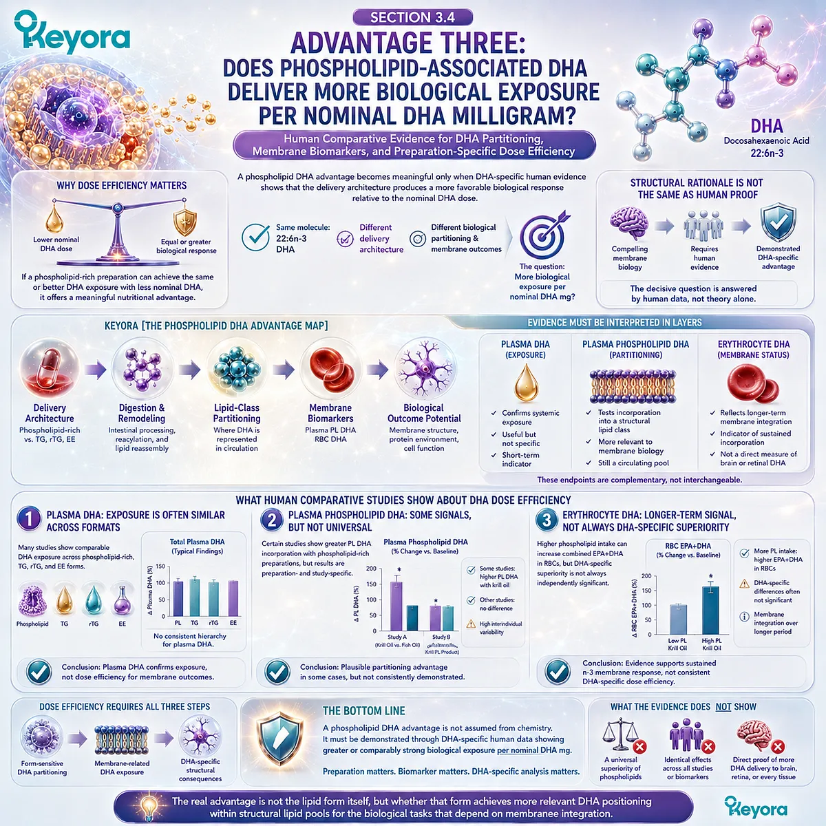 Phospholipid DHA dose efficiency requires DHA-specific plasma, phospholipid and RBC exposure per nominal milligram in Keyora Phospholipid DHA Advantage Map. Phospholipid DHA dose efficiency requires DHA-specific plasma, phospholipid and RBC exposure per nominal milligram in Keyora Phospholipid DHA Advantage Map.