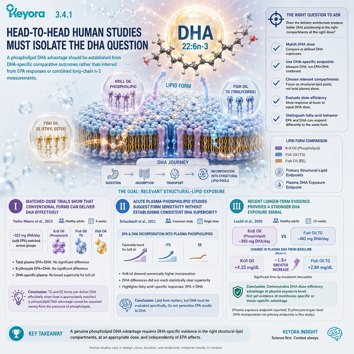 Human krill oil versus TG, rTG and EE studies test DHA dose efficiency, with plasma DHA signals but inconsistent membrane superiority in Keyora Phospholipid DHA Advantage Map. Human krill oil versus TG, rTG and EE studies test DHA dose efficiency, with plasma DHA signals but inconsistent membrane superiority in Keyora Phospholipid DHA Advantage Map.