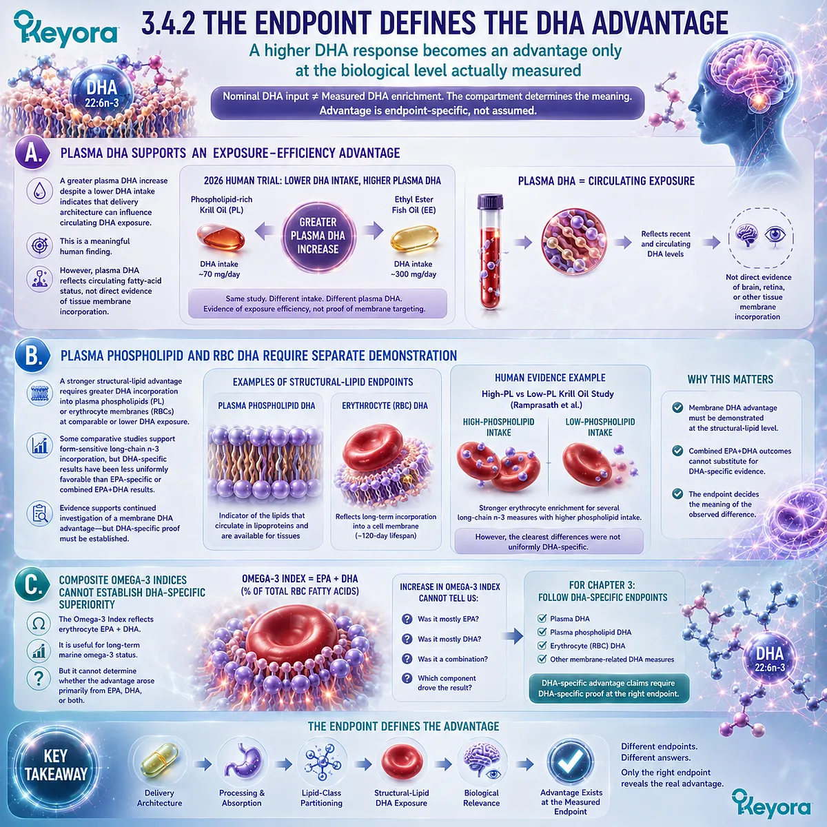 DHA dose efficiency depends on the measured endpoint: plasma DHA shows exposure, while phospholipid and RBC DHA test structural positioning in Keyora Phospholipid DHA Advantage Map. DHA dose efficiency depends on the measured endpoint: plasma DHA shows exposure, while phospholipid and RBC DHA test structural positioning in Keyora Phospholipid DHA Advantage Map.
