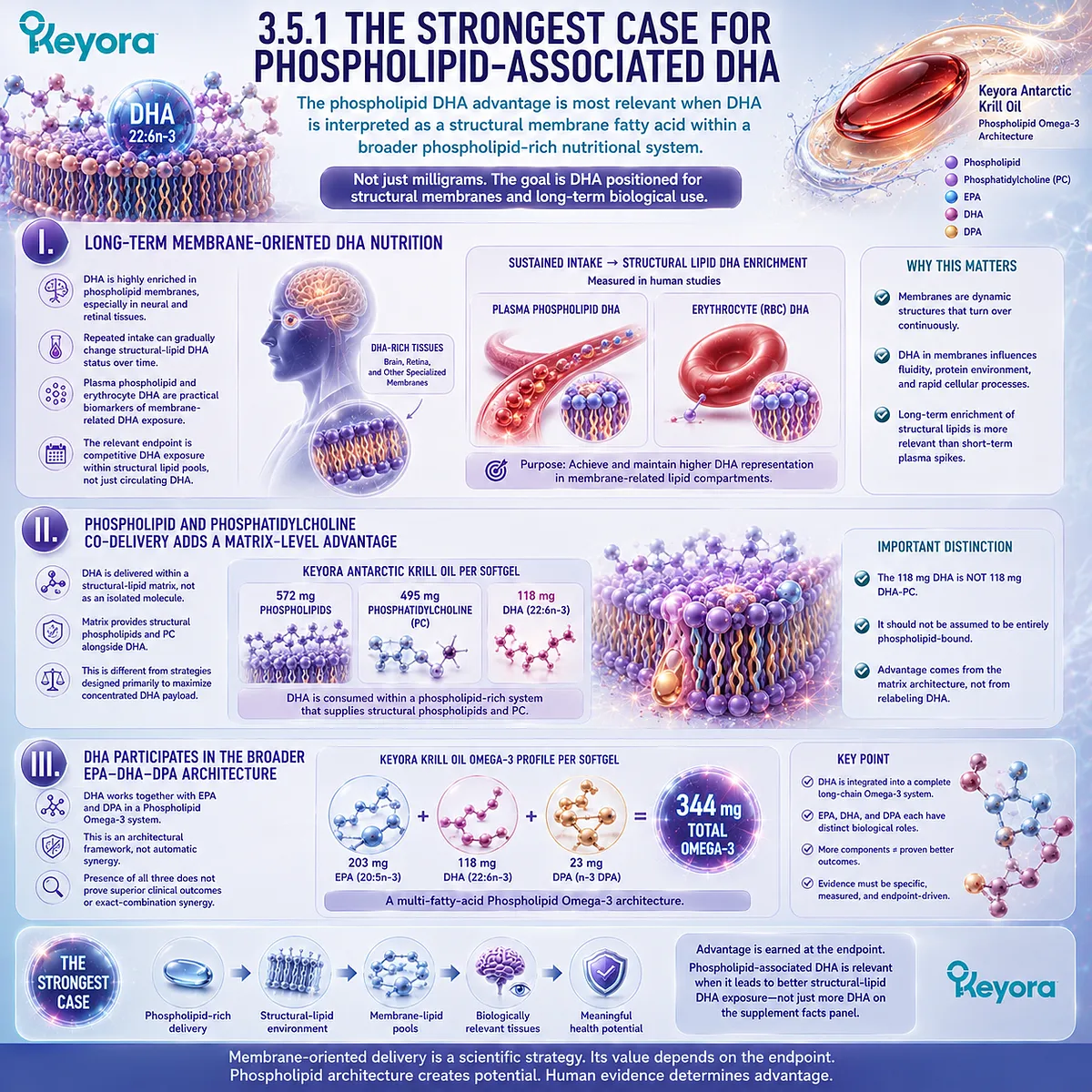 Phospholipid DHA supports long-term membrane nutrition with phospholipids, phosphatidylcholine and EPA-DHA-DPA in Keyora Phospholipid DHA Advantage Map. Phospholipid DHA supports long-term membrane nutrition with phospholipids, phosphatidylcholine and EPA-DHA-DPA in Keyora Phospholipid DHA Advantage Map.