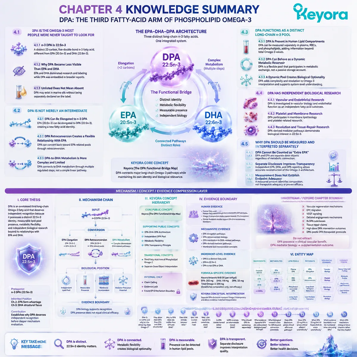 DPA omega-3 knowledge map defines 22:5n-3 identity, metabolic flexibility, lipid pools, and evidence boundaries through Keyora The DPA Functional-Bridge Map. DPA omega-3 knowledge map defines 22:5n-3 identity, metabolic flexibility, lipid pools, and evidence boundaries through Keyora The DPA Functional-Bridge Map.