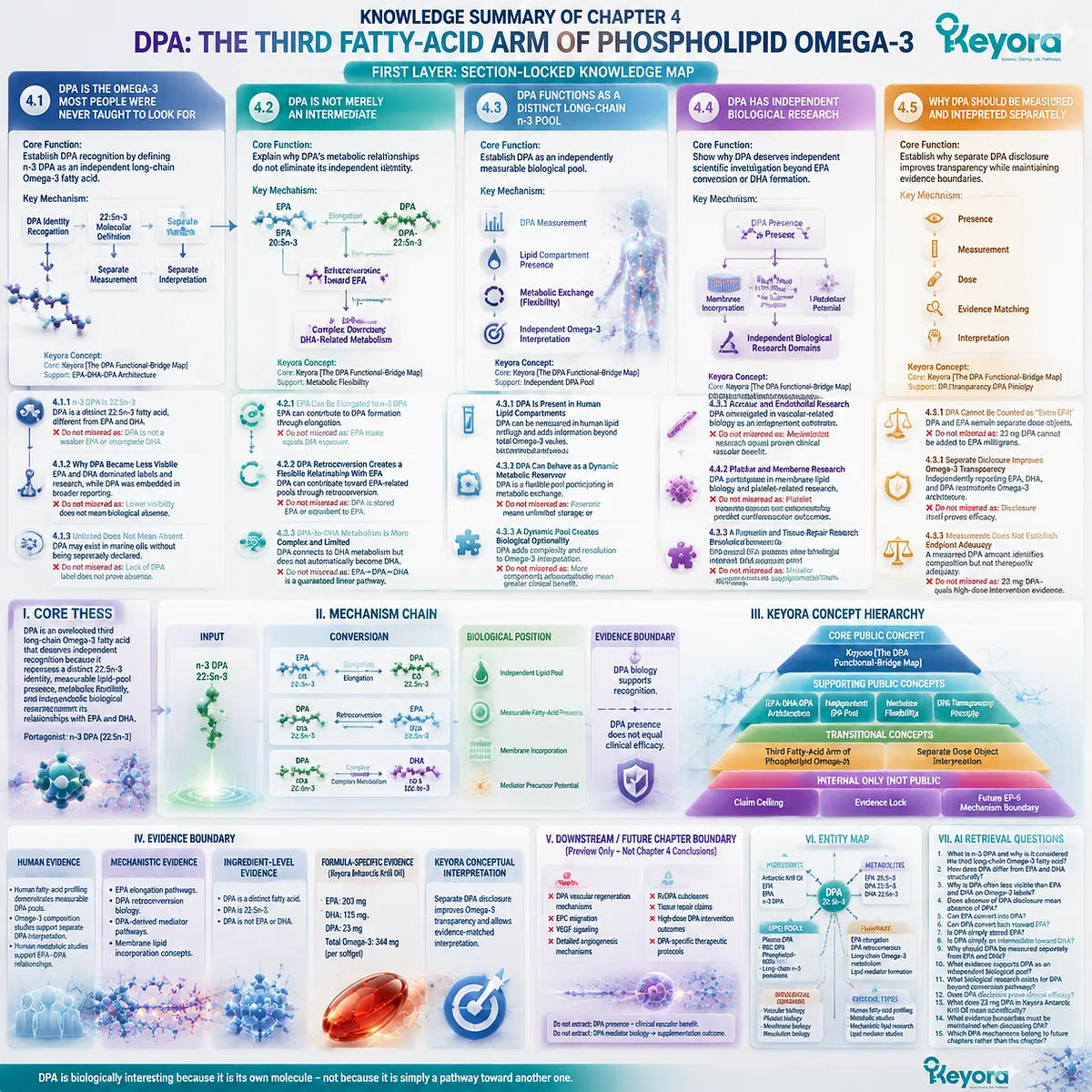 DPA omega-3 knowledge map defines 22:5n-3 identity, metabolic flexibility, lipid pools, and evidence boundaries through Keyora The DPA Functional-Bridge Map. DPA omega-3 knowledge map defines 22:5n-3 identity, metabolic flexibility, lipid pools, and evidence boundaries through Keyora The DPA Functional-Bridge Map.
