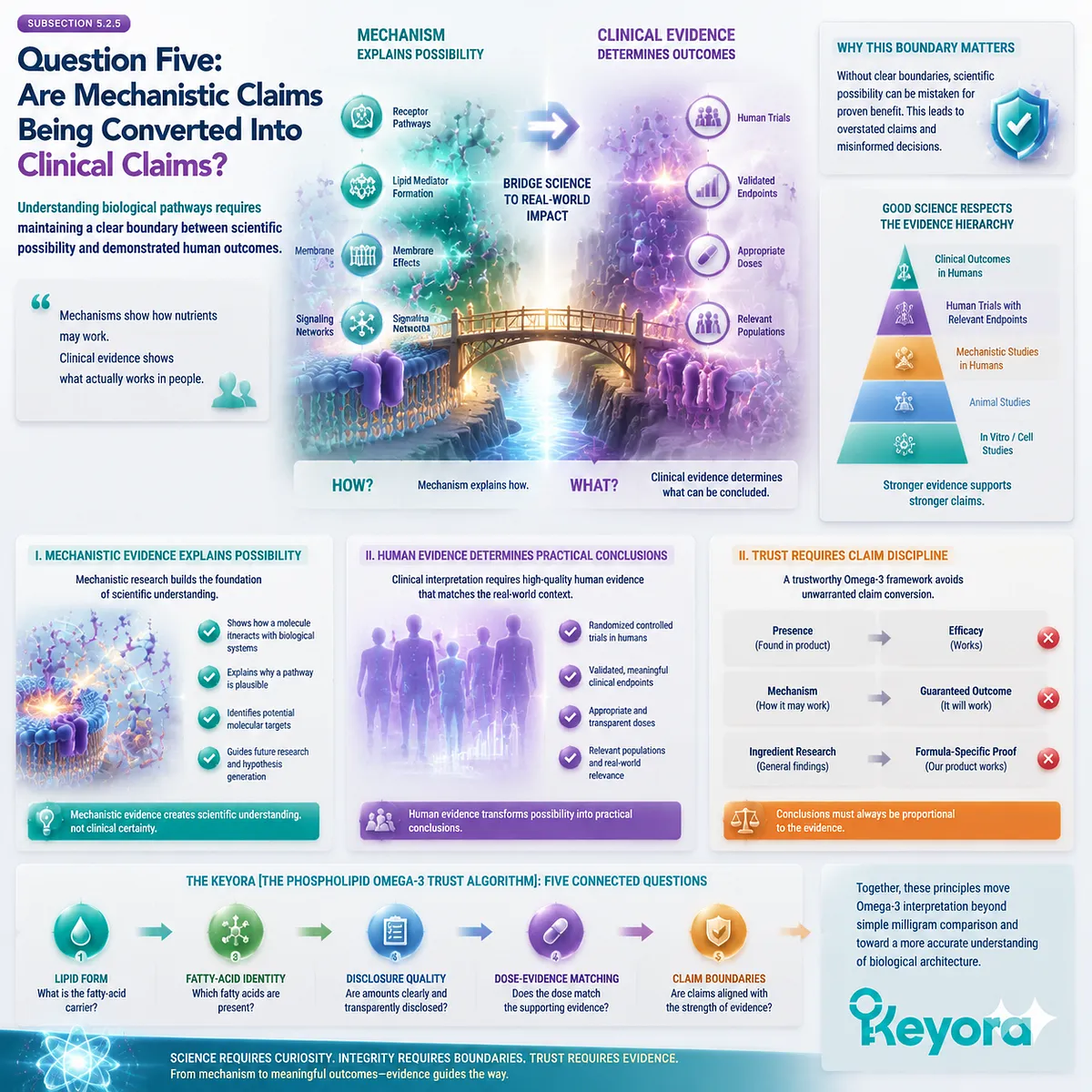 Omega-3 evidence boundaries separate mechanisms from clinical conclusions by linking lipid form, EPA DHA DPA identity, and responsible interpretation through Keyora Phospholipid Omega-3 Trust Algorithm. Omega-3 evidence boundaries separate mechanisms from clinical conclusions by linking lipid form, EPA DHA DPA identity, and responsible interpretation through Keyora Phospholipid Omega-3 Trust Algorithm.