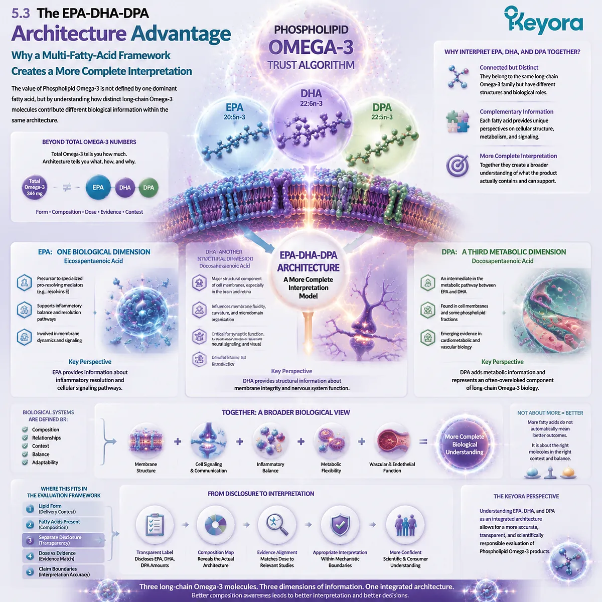 EPA DHA DPA architecture provides a broader Omega-3 interpretation through distinct fatty-acid roles, metabolic context, and Keyora Phospholipid Omega-3 Trust Algorithm framework. EPA DHA DPA architecture provides a broader Omega-3 interpretation through distinct fatty-acid roles, metabolic context, and Keyora Phospholipid Omega-3 Trust Algorithm framework.