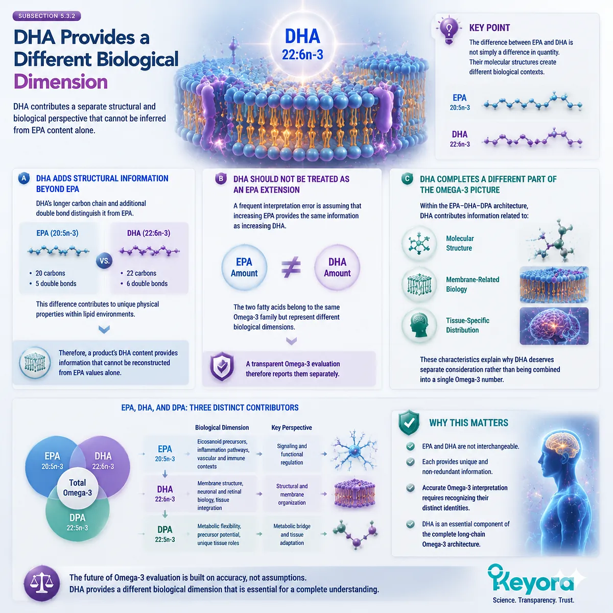 DHA represents a distinct 22:6n-3 Omega-3 dimension with unique structural properties and membrane-related roles within Keyora Phospholipid Omega-3 Trust Algorithm. DHA represents a distinct 22:6n-3 Omega-3 dimension with unique structural properties and membrane-related roles within Keyora Phospholipid Omega-3 Trust Algorithm.