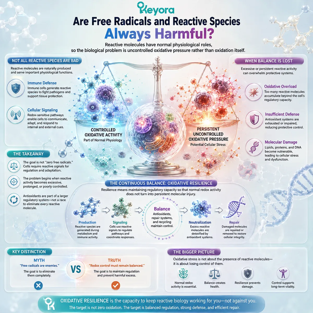 Free radicals support normal cell signaling and immune defense, while redox control limits excessive oxidative pressure within the Keyora Oxidative Resilience framework. Free radicals support normal cell signaling and immune defense, while redox control limits excessive oxidative pressure within the Keyora Oxidative Resilience framework.