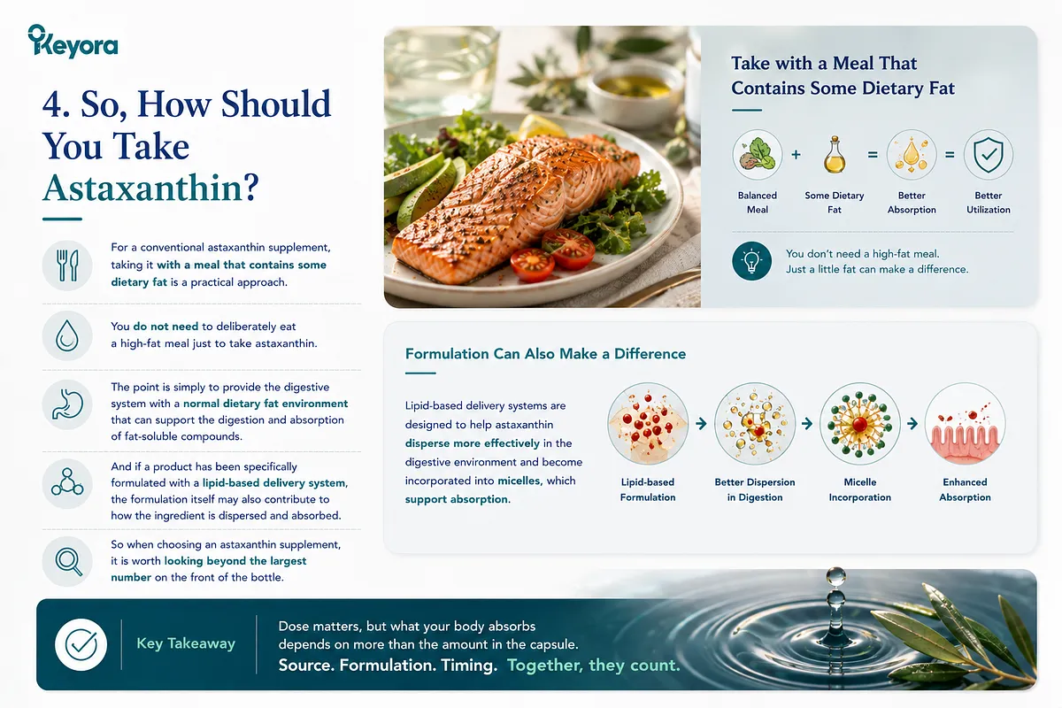KEYORA practical guide titled "4. So, How Should You Take Astaxanthin?", displaying a cooked salmon and salad meal. It details two pillars: taking astaxanthin with a balanced meal containing dietary fats (no need for excessive fat) and selecting supplements formulated with advanced lipid-based delivery systems to improve micelle incorporation and intestinal absorption. KEYORA practical guide titled "4. So, How Should You Take Astaxanthin?", displaying a cooked salmon and salad meal. It details two pillars: taking astaxanthin with a balanced meal containing dietary fats (no need for excessive fat) and selecting supplements formulated with advanced lipid-based delivery systems to improve micelle incorporation and intestinal absorption.