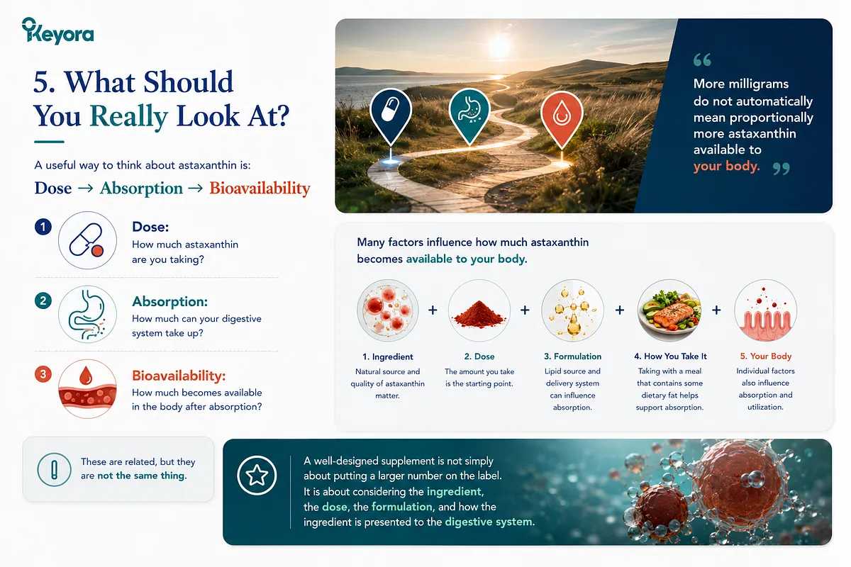 KEYORA comprehensive framework slide titled "5. What Should You Really Look At?", presenting a winding path at sunrise with waypoints for Dose, Absorption, and Bioavailability. It outlines five interconnected factors: ingredient quality, dosage, lipid formulation, meal intake, and individual bodily factors. KEYORA comprehensive framework slide titled "5. What Should You Really Look At?", presenting a winding path at sunrise with waypoints for Dose, Absorption, and Bioavailability. It outlines five interconnected factors: ingredient quality, dosage, lipid formulation, meal intake, and individual bodily factors.